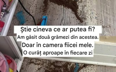 Grămada misterioasă din camera fiicei mele – rezolvată de internet (Spoiler: Nu au fost termite!)