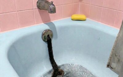 M-am întors din vacanță și am găsit un „șarpe” în cada de baie – Adevărul a fost și mai șocant
