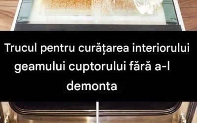 Trucul pentru curățarea interiorului geamului cuptorului fără a-l scoate