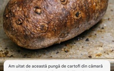 Am uitat de acest sac de cartofi și au început să crească vlăstari. Mai sunt siguri de mâncat?