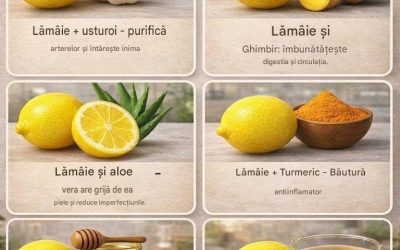 6 puternice combinații de citron pentru un bine-être naturel